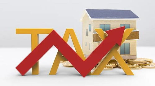 國家稅務(wù)總局推出10項(xiàng)稅收服務(wù)措施，助力長三角一體化高質(zhì)量發(fā)展